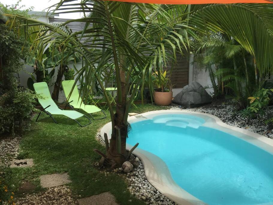 Le Nid D'Amour Avec Sa Piscine Et Jacuzzi Chauffes Сен-Жозеф Екстер'єр фото
